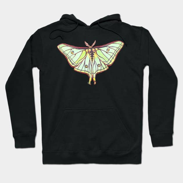 Luna Moth Hoodie by Tinker and Bone Studio